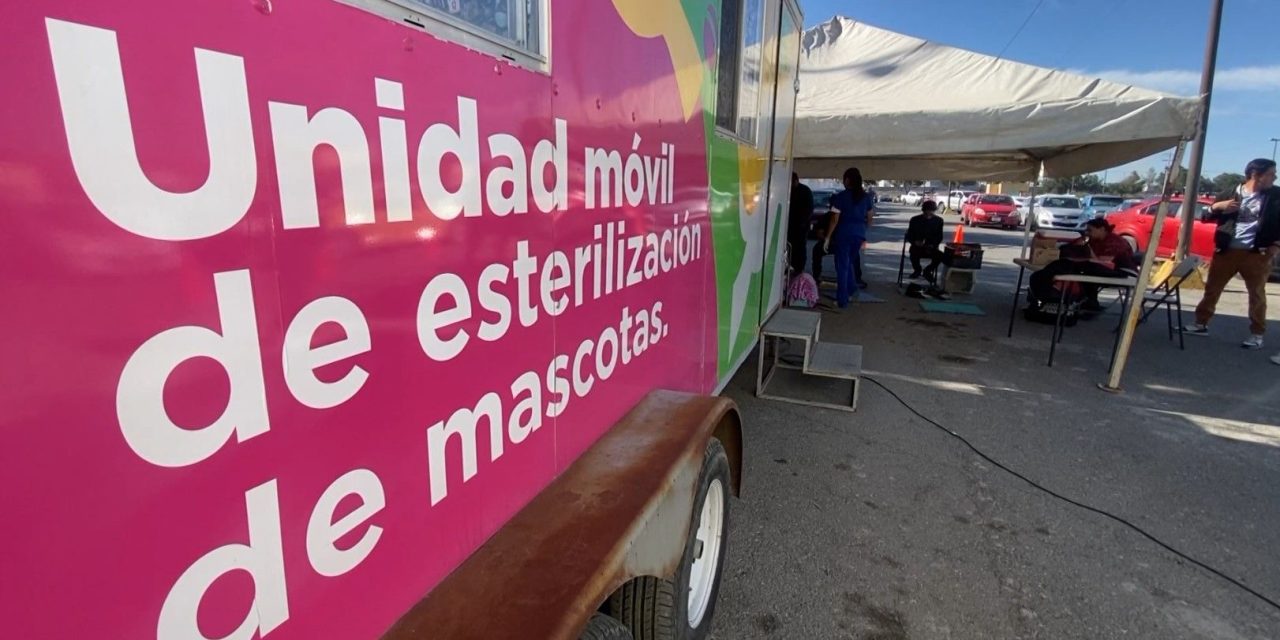 Éxito en campaña de esterilización en Saltillo