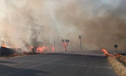 Fuerte incendio en propiedad de Casa Madero fue aparentemente provocado