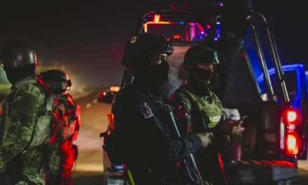12 países aportan las armas en la guerra entre ‘Los Chapitos’ y ‘La Mayiza’