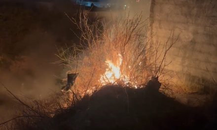 Incendio en arroyo en Lomas de Zapalinamé presuntamente fue provocado