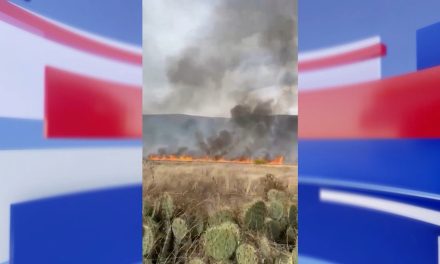 Incendio en Arteaga pudo ser provocado