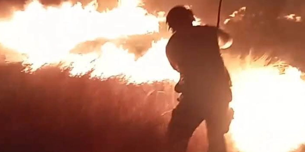 Incendios movilizan a PC y Bomberos de Múzquiz