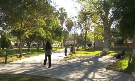 Inicia la UTC venta de fichas