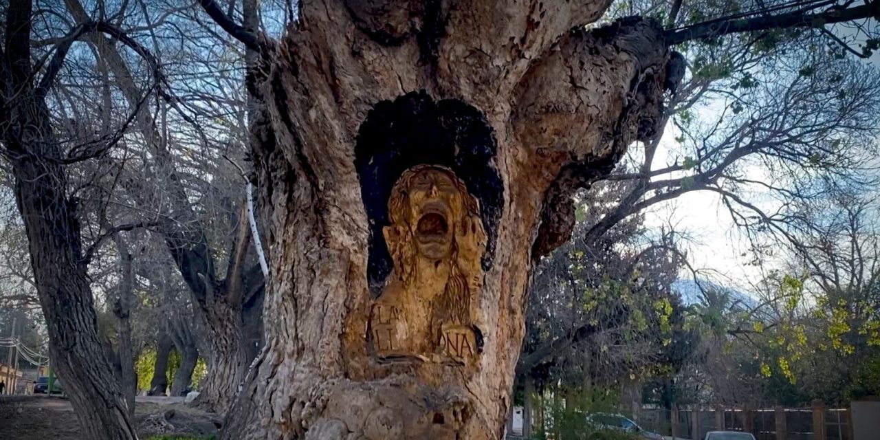 ‘La llorona’ está en Arteaga; un árbol tallado en el Pueblo Mágico