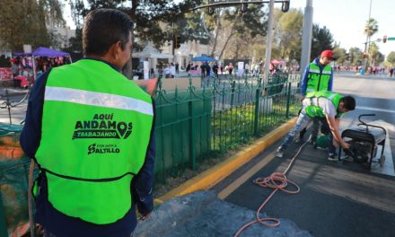 Embellecen camellón del bulevar Venustiano Carranza