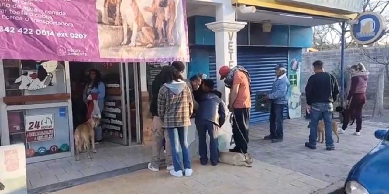 Parras tendrá esterilización de mascotas