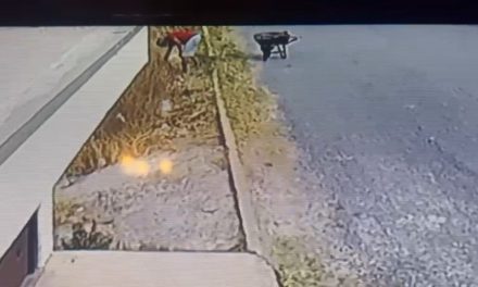 En Parras hombre es captado por cámaras de seguridad ocasionando incendio