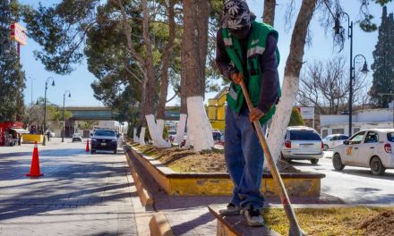 Mejora Ramos Arizpe su imagen urbana