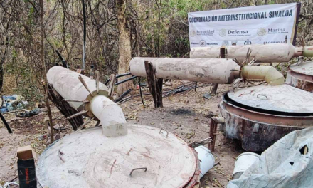 Desmantelan laboratorios clandestinos y plantío de marihuana en Sinaloa