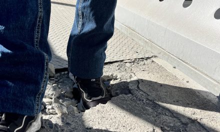 Reportan falta de mantenimiento en puente peatonal de bulevar Fundadores