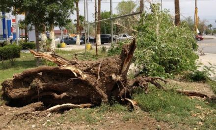 Se esperan fuertes vientos en Coahuila por llegada de frente frío