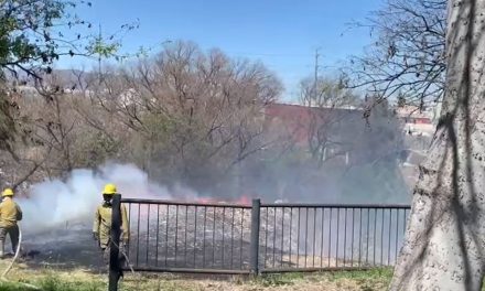 Incendio en el Bosque Urbano afecta zona cercana a la Central de Abastos