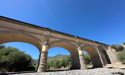 Van por ecoturismo con enfoque en la conservación