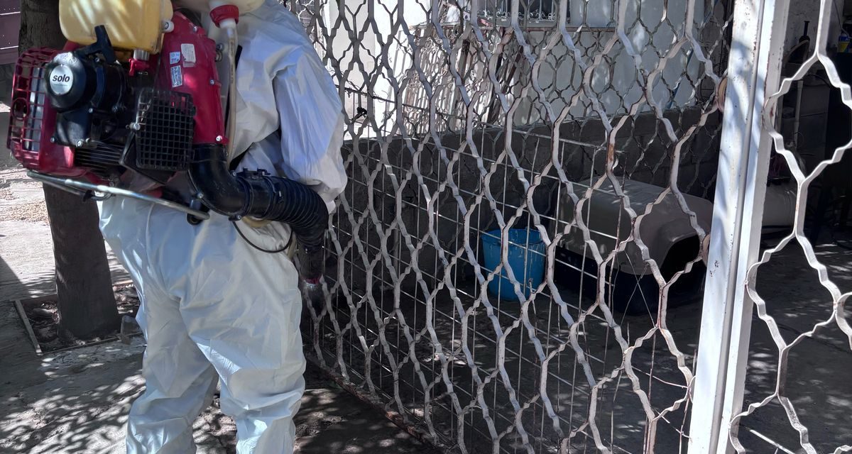 Va Torreón contra la proliferación de mosquitos y garrapatas