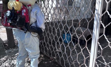 Va Torreón contra la proliferación de mosquitos y garrapatas