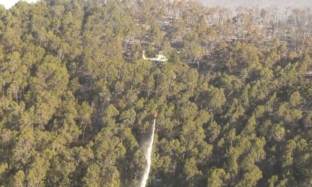 Helicóptero permanecerá en Arteaga para rápida respuesta ante incendios