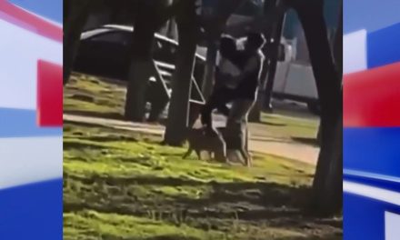 Buscan a mujer violentada en Ramos Arizpe