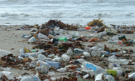 Coca-Cola produce la mayoría de la basura plástica en todos los océanos
