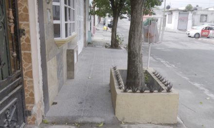 Coloca peligrosas puntas en jardinera en colonia Nogales II