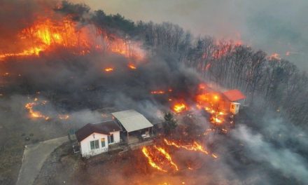 Incendios forestales en Corea del Sur dejan 24 muertos y 27 mil evacuados