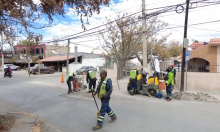 Cuadrillas de ‘Aquí Andamos’ siguen bacheando en Saltillo