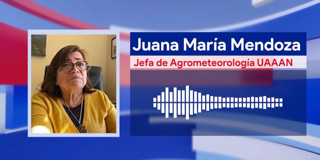 Es vital revisar la calidad del aire antes de realizar actividades diarias