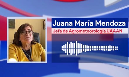 Es vital revisar la calidad del aire antes de realizar actividades diarias