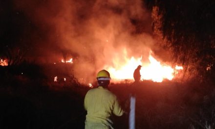 Durante todo el 2025 se han registrado 939 incendios en Saltillo