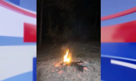 Detienen a un imprudente por quemar basura en la Sierra de Arteaga