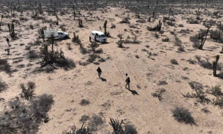 Organizaciones de búsqueda detectan más de 100 campos de exterminio en México
