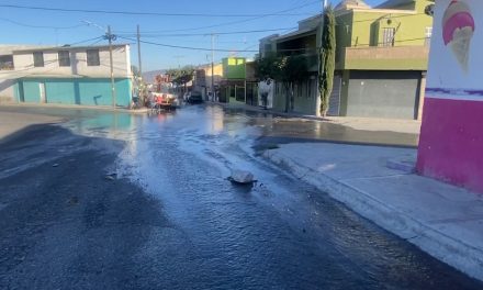 Hubo una mega fuga de agua potable en la colonia María de León