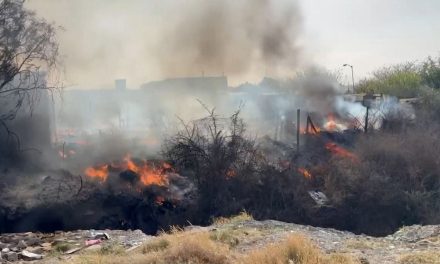 Endurecen penas para quienes causen incendios en terrenos baldíos