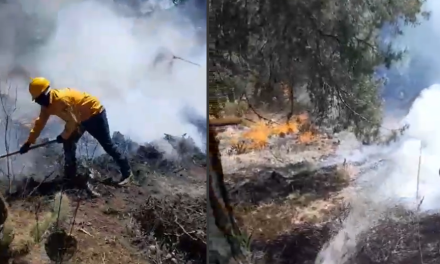 Combaten incendio forestal en NL, cerca de la Sierra de Arteaga