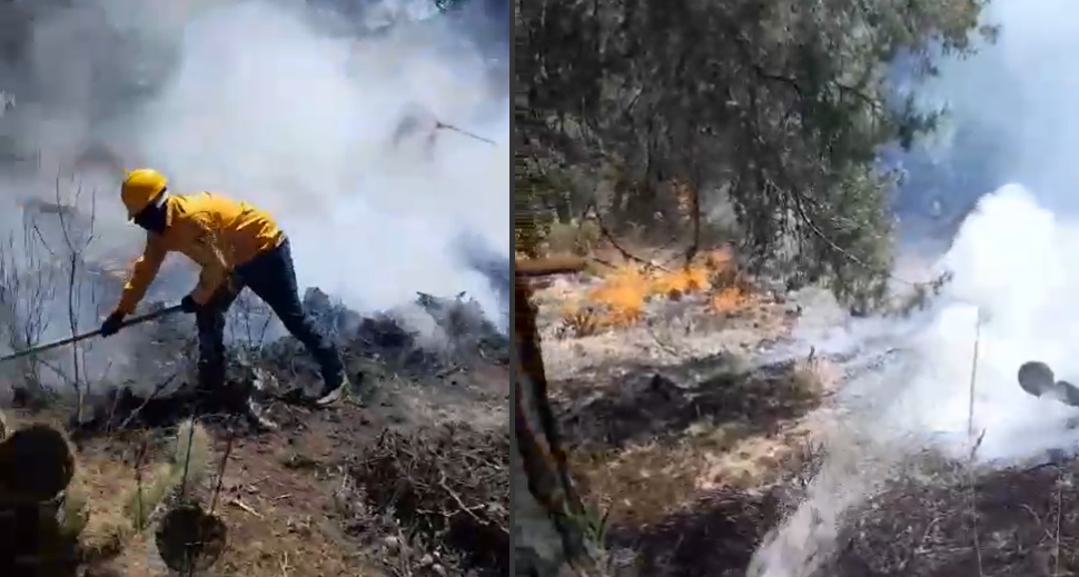 Combaten incendio forestal en NL, cerca de la Sierra de Arteaga