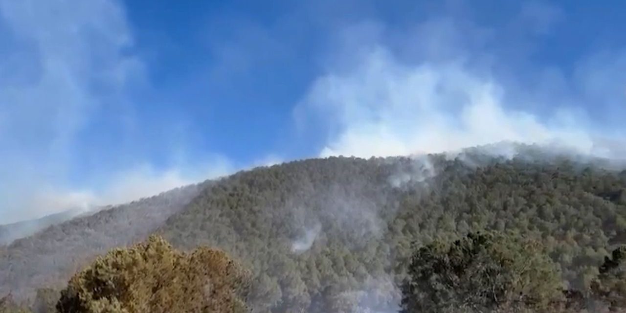 Incendio en El Tunal deja afectaciones mínimas a zona de pinos