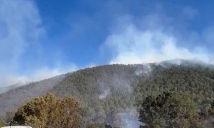 Incendio en El Tunal deja afectaciones mínimas a zona de pinos