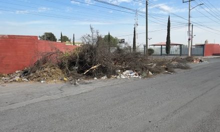 Limpian, pero no se llevan la basura en el sector Colinas del Sur
