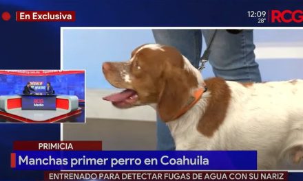 ¿Sabías que en Saltillo hay un perrito que detecta fugas de agua con su nariz?