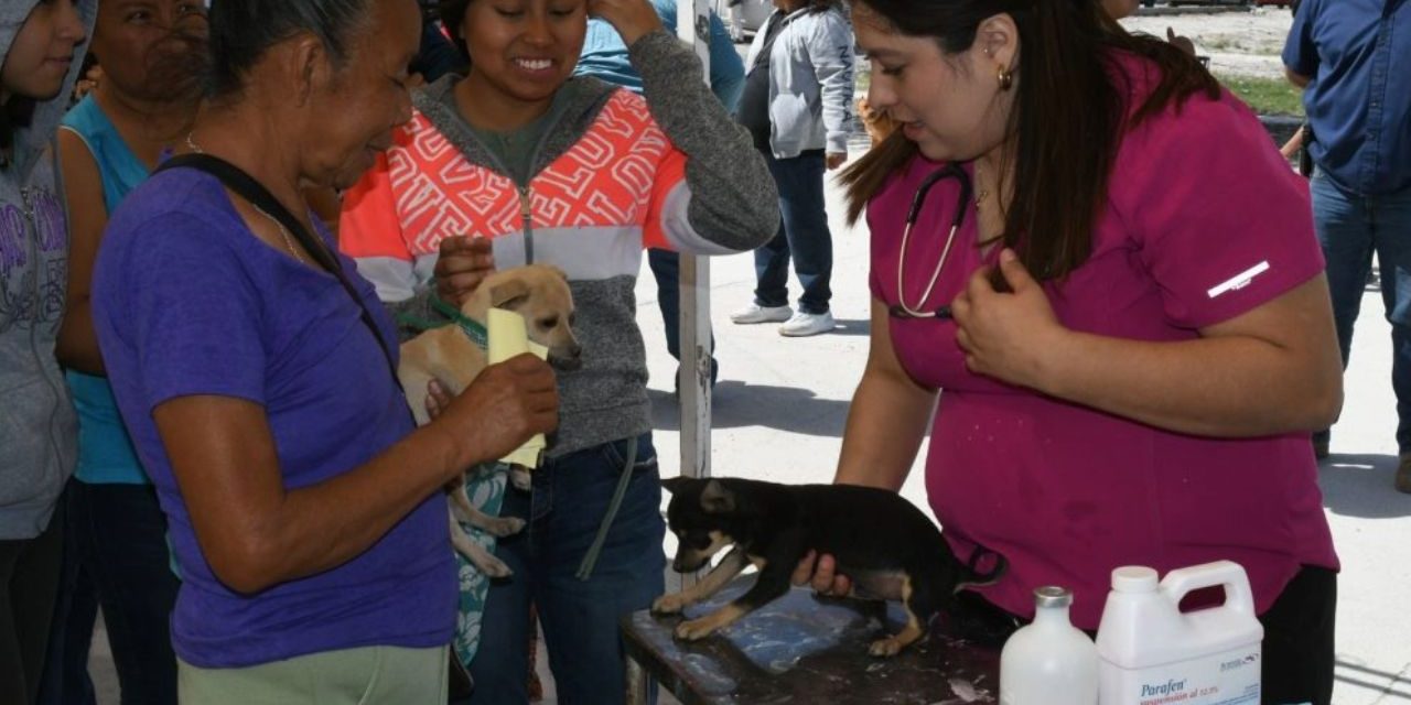 Mejora Coahuila realiza Jornada de Salud para Mascotas
