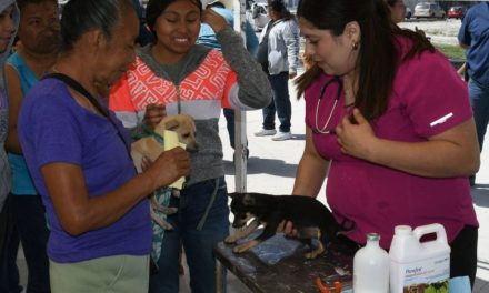 Mejora Coahuila realiza Jornada de Salud para Mascotas