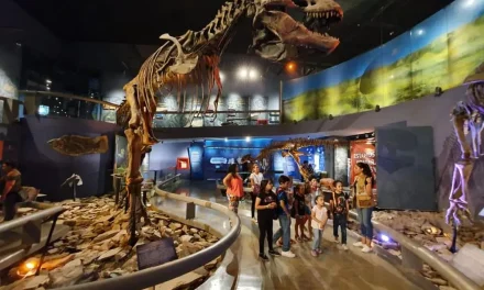 Museo del Desierto prepara nuevas atracciones para Semana Santa