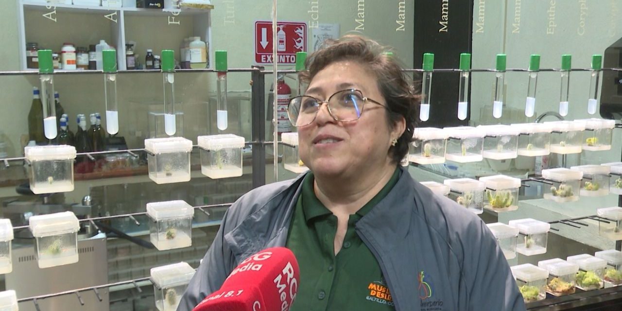 Museo del Desierto cuenta con un Laboratorio de Cultivo de Tejidos