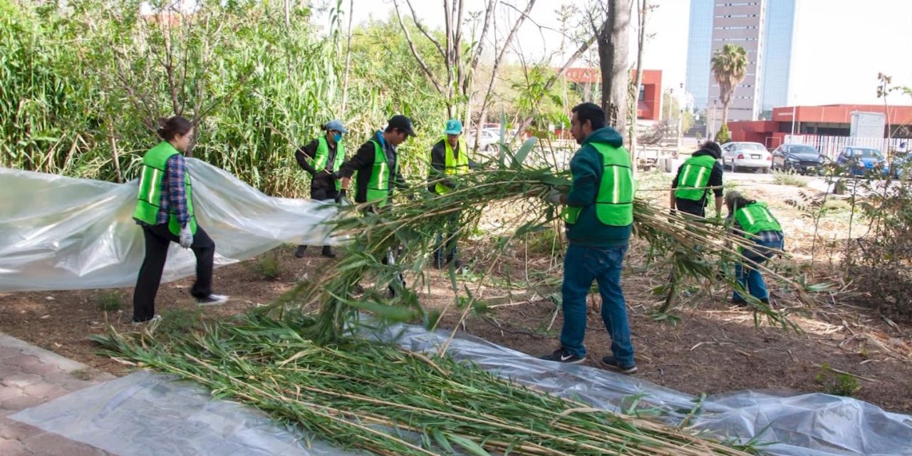 Participa Tec Saltillo en limpieza de arroyo
