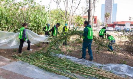 Participa Tec Saltillo en limpieza de arroyo