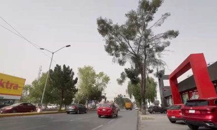 Peligro en V. Carranza; viejos árboles a punto de caer