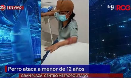 Saltillo: Perro ataca a pequeño de 12 años en La Gran Plaza