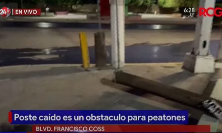 Poste caído es un obstáculo para los peatones en Bulevar Coss
