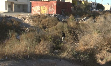 Quieren puente peatonal en arroyo que comunica de la colonia  Evaristo Pérez a la Valencia