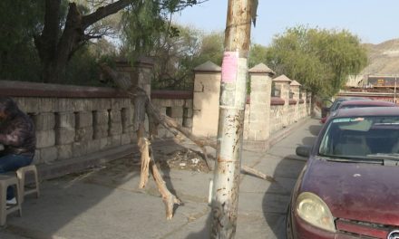 Ramas caídas a un costado del HU son un peligro