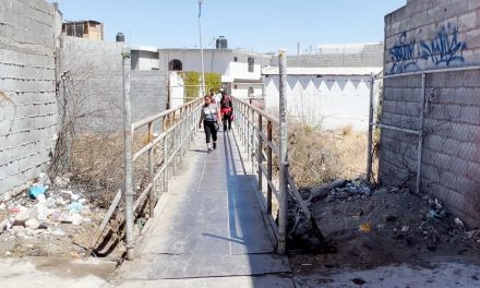 Riesgo constante para usuarios; puente peatonal es inseguro para su uso